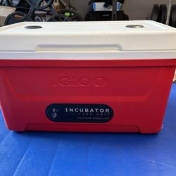 Puppy Incubator Box