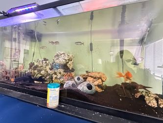 Large 100 gallon Glass Fish Tank Aquarium with LED Light