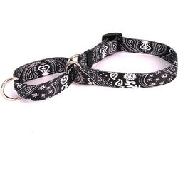 Dog Collar