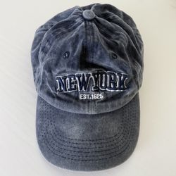 NYC Lid One Size Blue