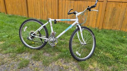 Raleigh mountain bike