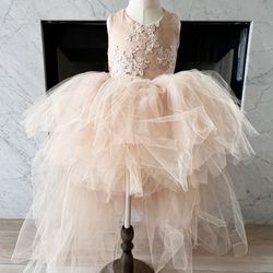 Little girl's fancy tulle dress with lace