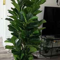 Pretty Artificial Plant 6 FT Tall Fig Tree With 184 Leaves ! Brand New 
