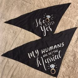 Getting Married Dog Scarves