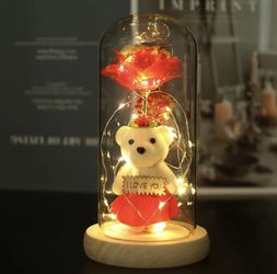 Valentines Gift / Glass Dome Galaxy / Rose Flowers With Mini Bear 🐻