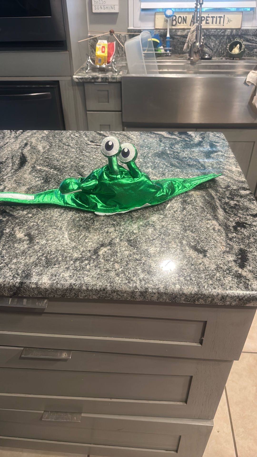 Little Monster Dog Hat