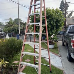 Excellent Condition Variety Of Ladders 