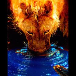 Looking For 4 AFFORDABLE TWIN MATTESSES 