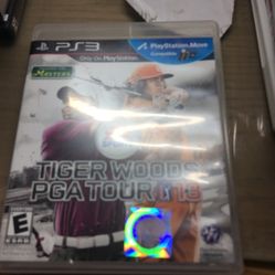 Ps3 Tiger Woods PGA Tour 13