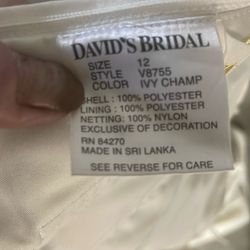 David’s Bridal Gown-V8755-Michelangelo