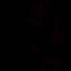 Apple Max Headphones 