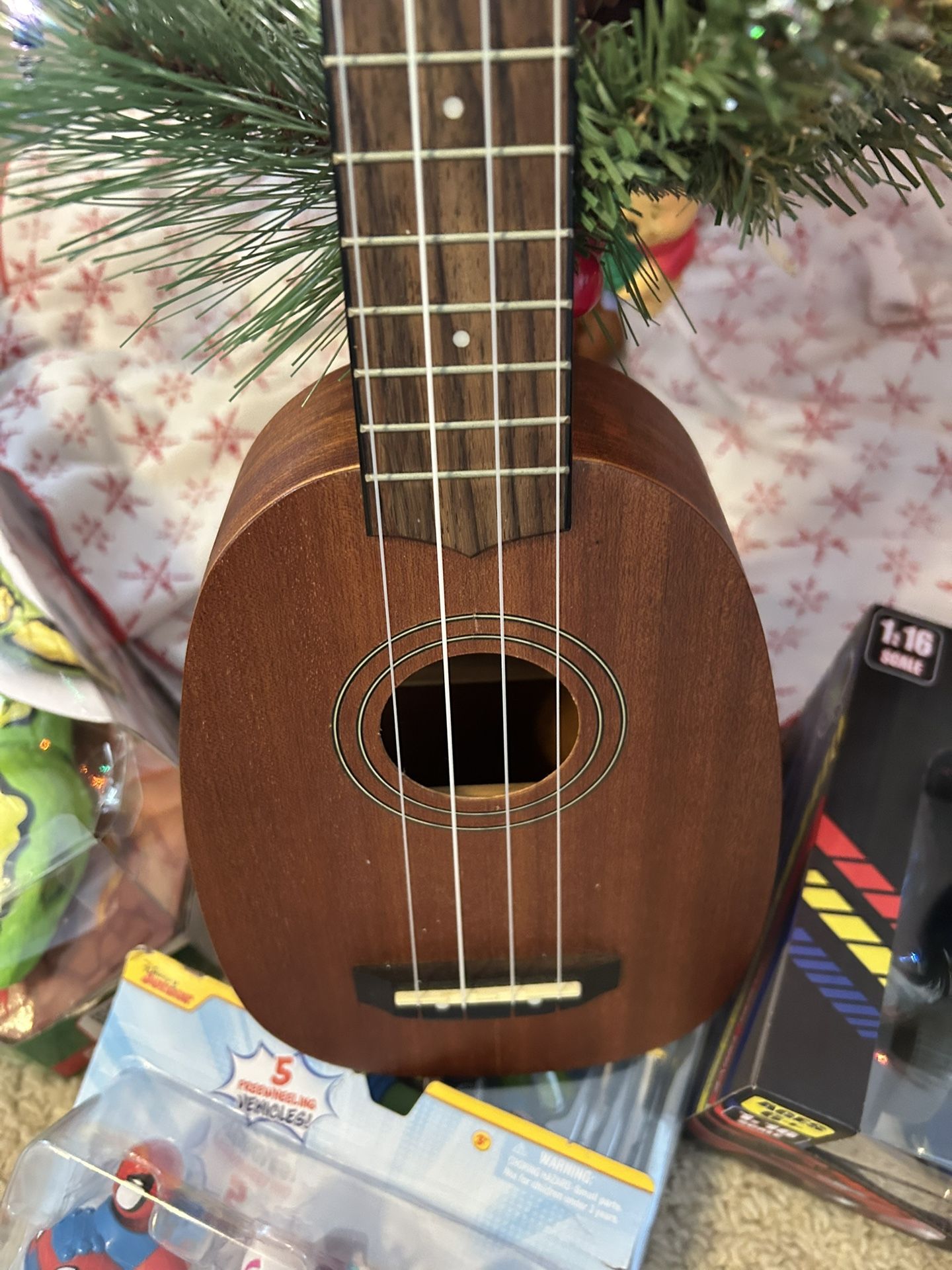 Ukulele With Case