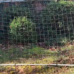 Youth Soccer Goal 5' X 7'.  Free
