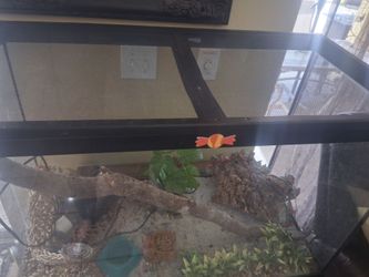 Reptile cage