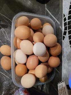 Orgánico huesos