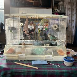 Bird Cage  28x15x24 Tall With All Dishes And Toys Included