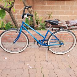 Schwinn Beach Cruiser