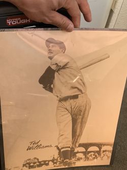 Ted Williams