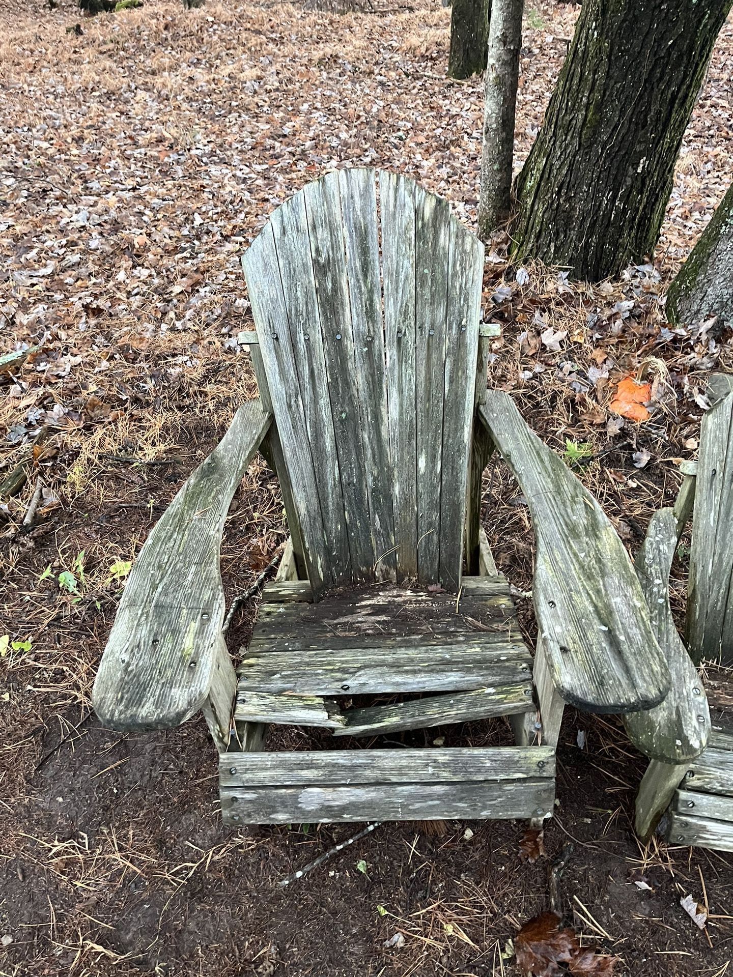 Adirondack chairs