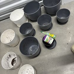 Plant Pots