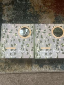 2 Mercury Curtain Vines 