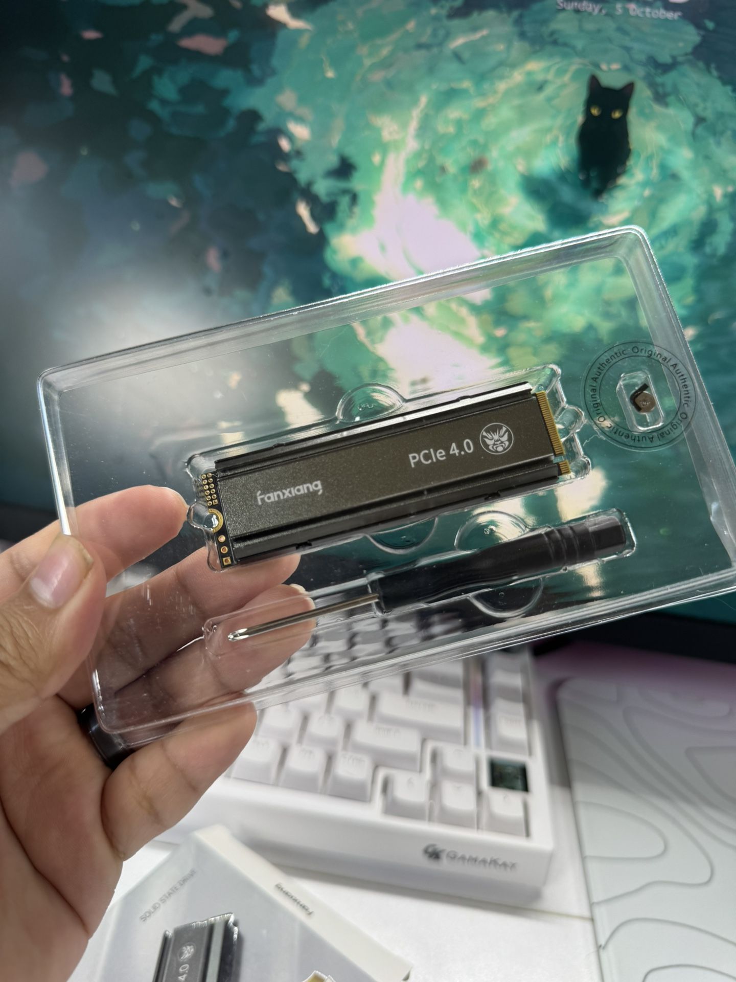 1TB SSD