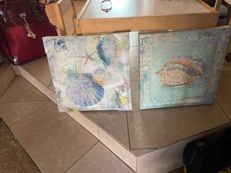 Sea shells frames