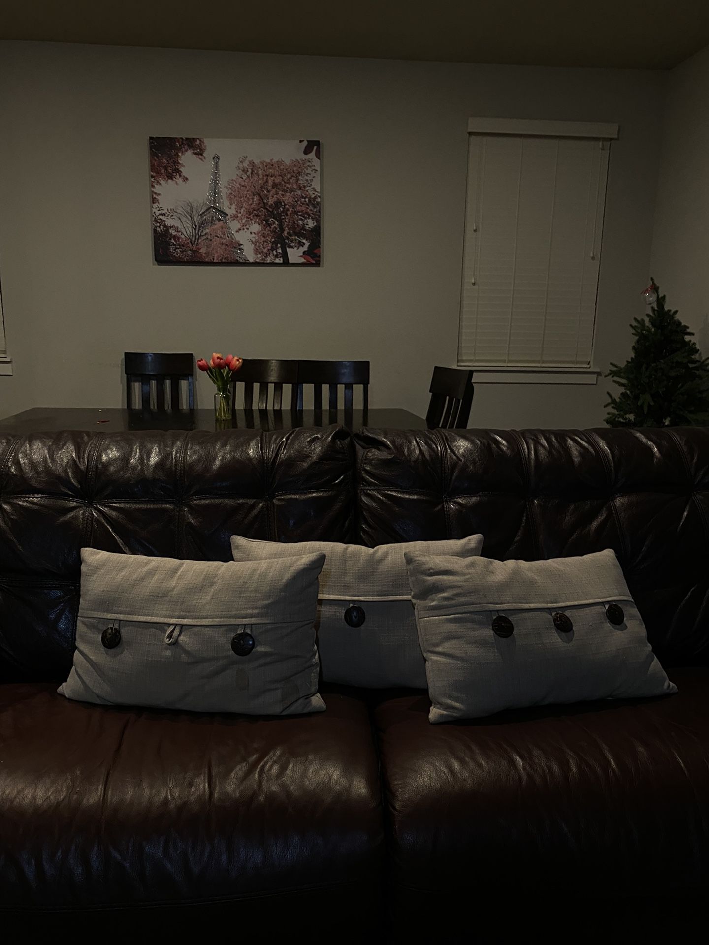 Leather Couch