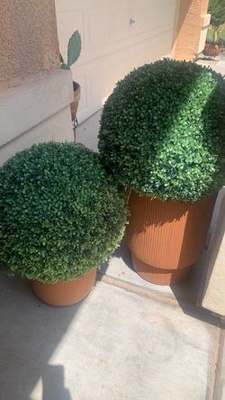 Artificial Boxwood Ball Topiaries No Pots