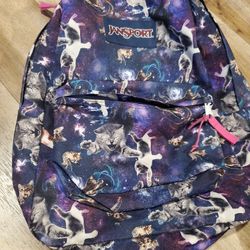 Jansport Backpack 