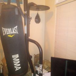 Everlast Punching Bag /Speed Bag