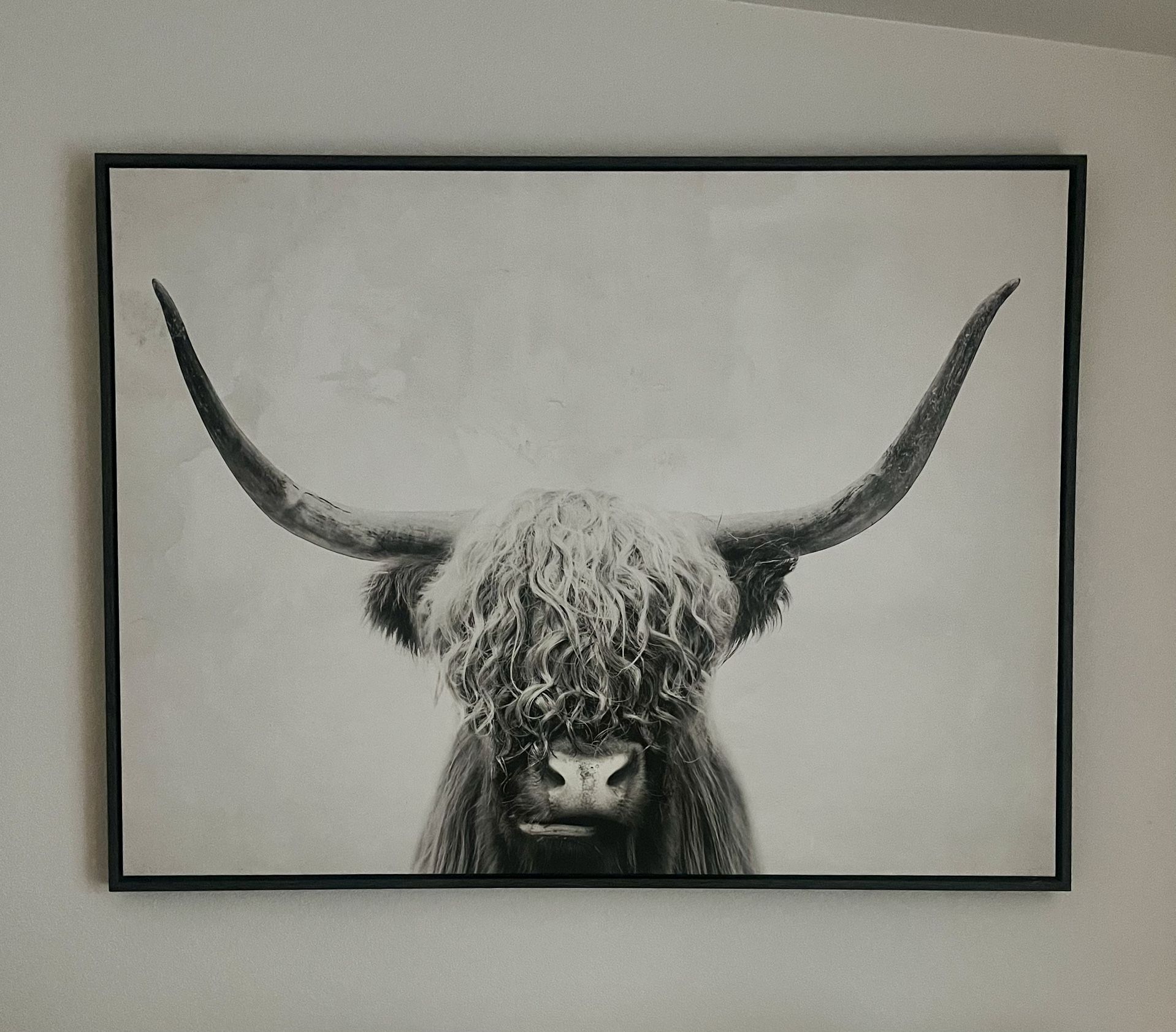 Pancho Wall Art - 4’ X 3’ Wood Framed Canvas