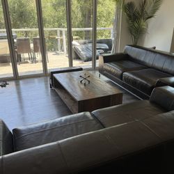 Stunning Almost New Crate And Barrel Sofas
