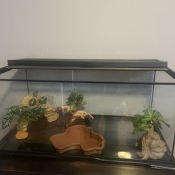 40 gallon Reptile Tank 