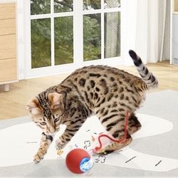 (X2) Interactive Cat Toy; Smart 360 Degrees Automatic Pet Rolling/Scroll Ball