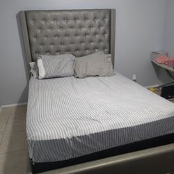 Queen size bed  Sofia Vergara