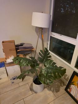 Floor Lamp