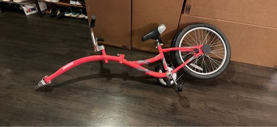 Co pilot bike trailer