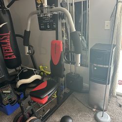 Weider 2980 x Weight System