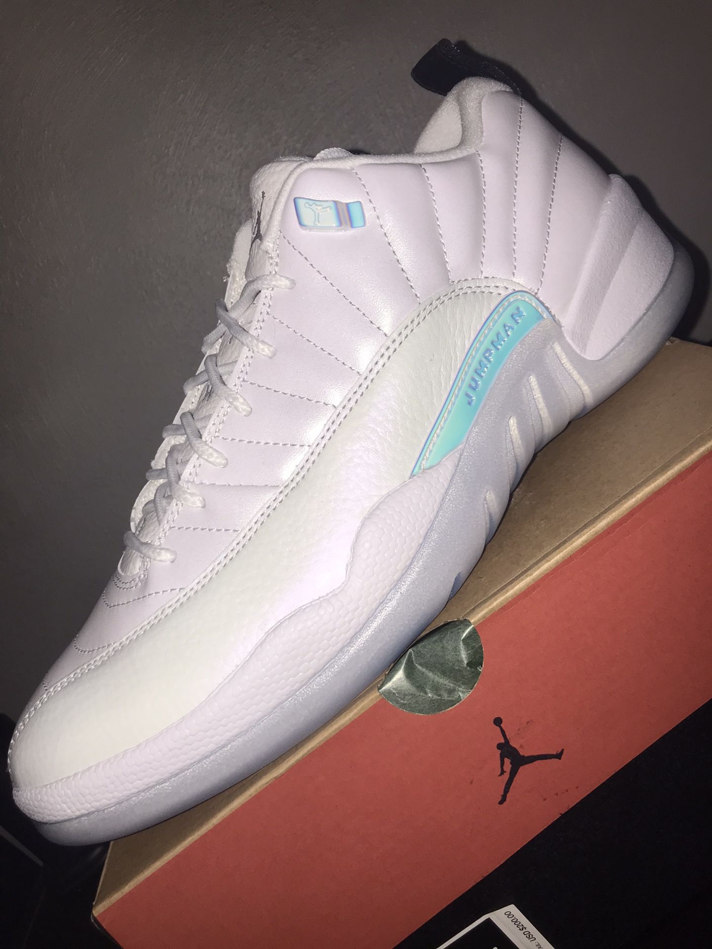Jordan 12 Low Size 10.5