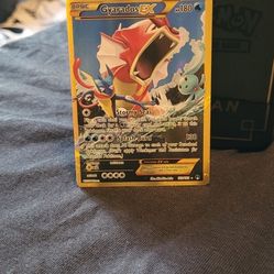 Pokemon Card Gyarados EX Secret Rare 123/122