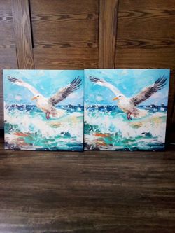 Canvas new $10