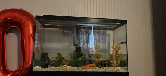 30G Tank - Aquarium Start Up Bundle