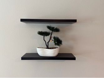 Floating Wall Shelves