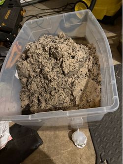 Large bucket  of sand for aquarium - free