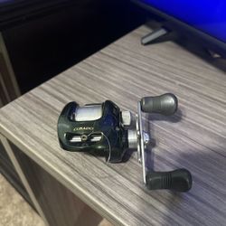 Shimano Curado 301E