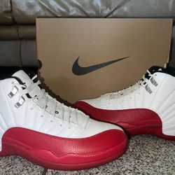 Air Jordan 12