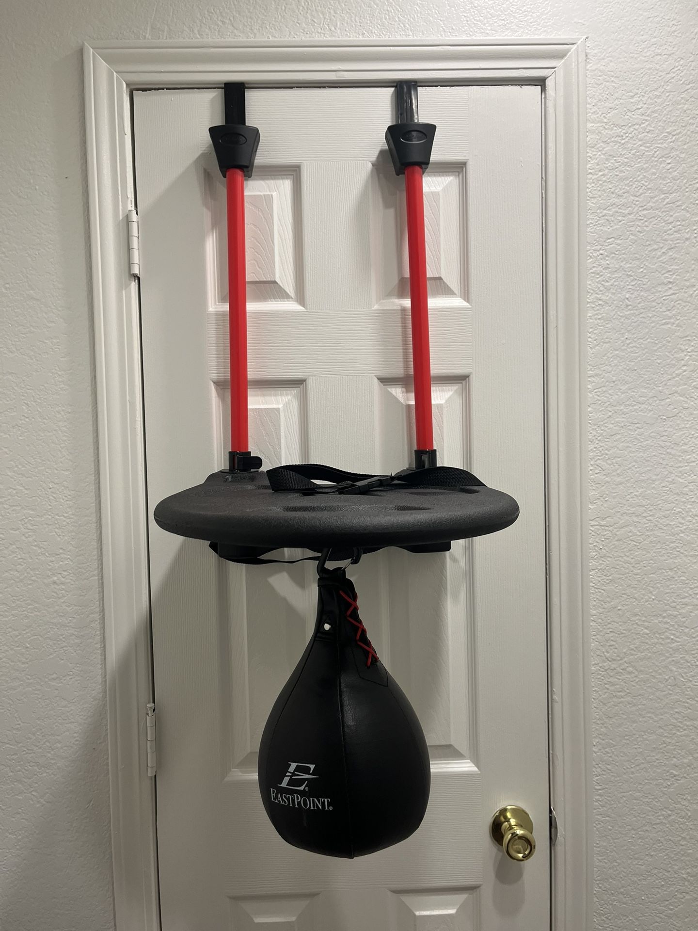 speed bag trainer (over the door)