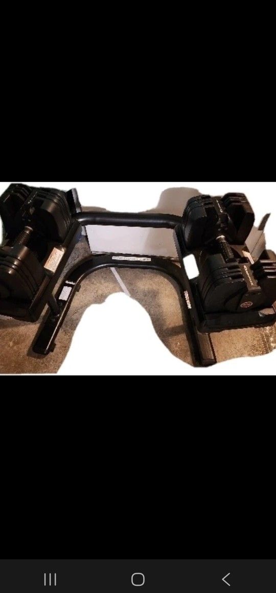 Bowflex 560 Dumbbells