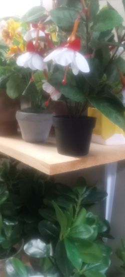 New artificial silk plants 2/10 Dollar each high quality looks real
